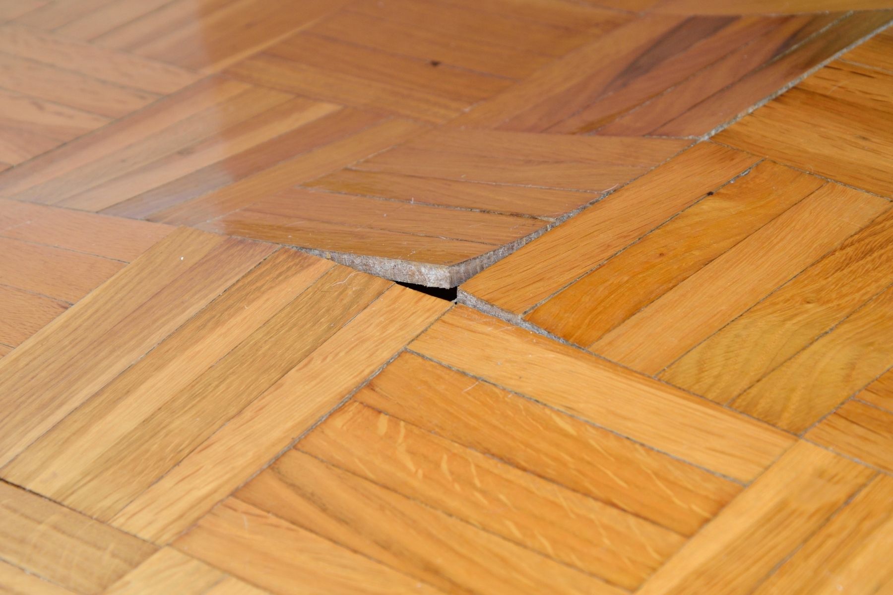 wood floors Santa Monica water damage